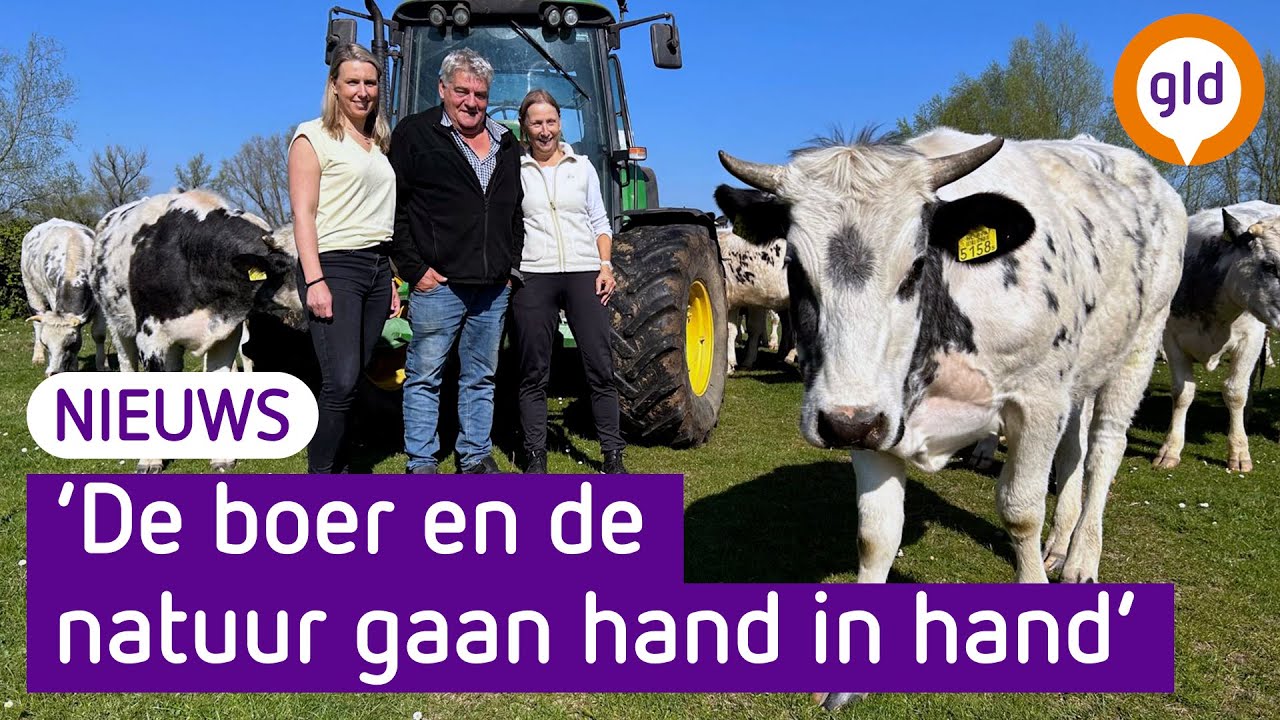 Boeren op grond van Staatsbosbeheer &ndash; Goed voor koe, boer &eacute;n bos