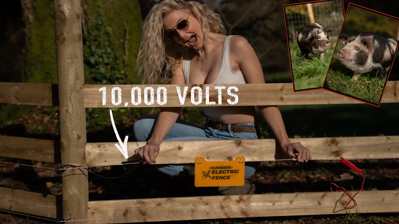What Does a 10,000 Volt PIG FENCE Feel Like? Human test!