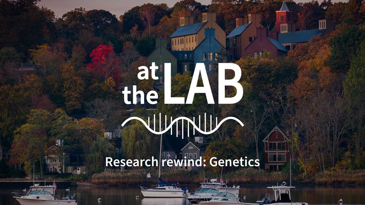 At the Lab Season 1 Research Rewind: Genetics