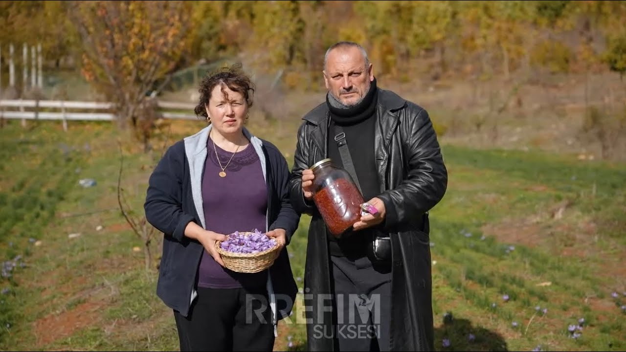 37 mijë euro - 1 kg shafran, bima më e shtrenjtë në botë që kultivohet nga familja në Pogradec 