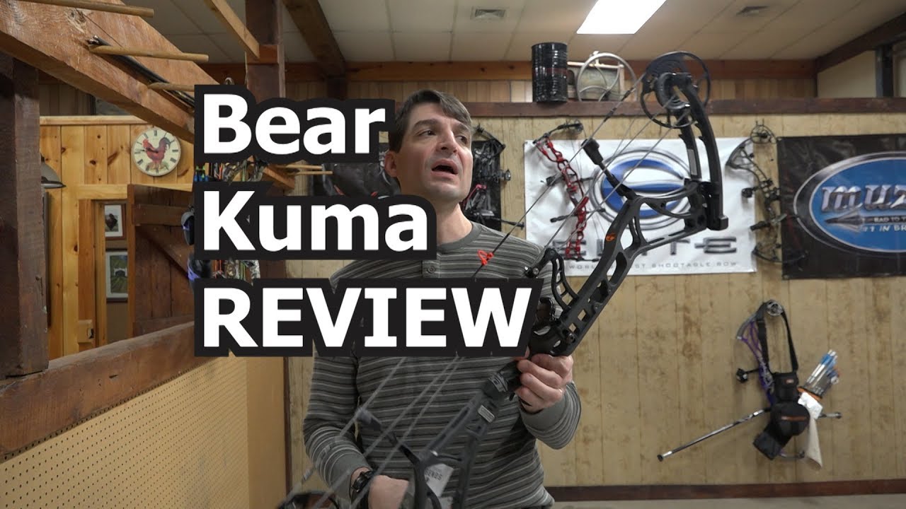 Bear Kuma REVIEW