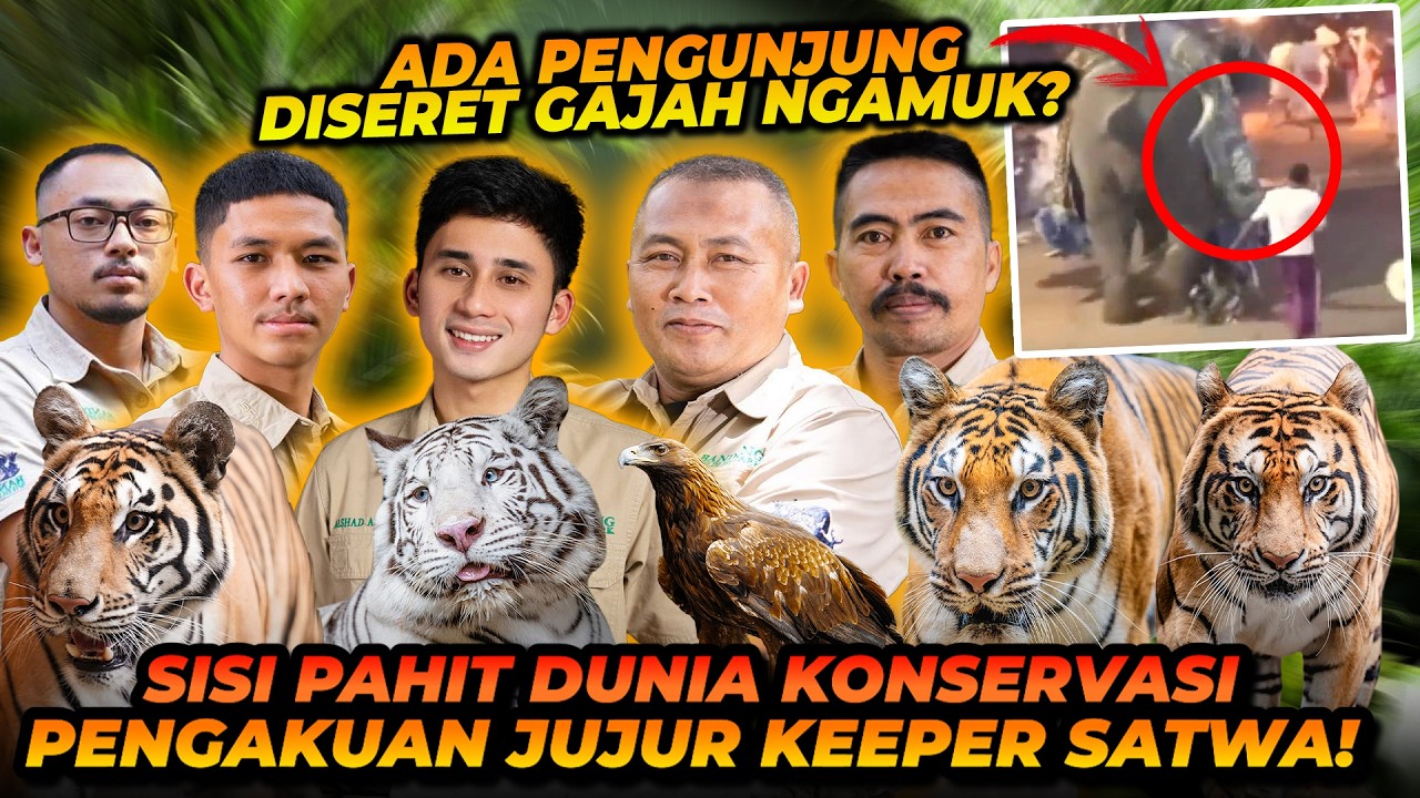 SISI PAHIT DIBALIK KONSERVASI SATWA LIAR! TERLEMPAR DARI GAJAH SAMPE KAKI SOBEK KARENA BABI RUSA!