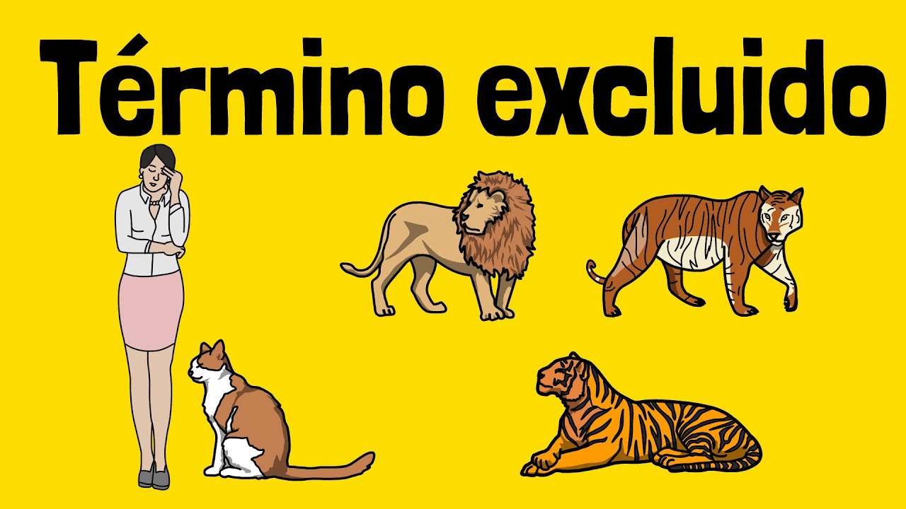 TÉRMINO EXCLUIDO EN 4 MINUTOS 🚀🔥