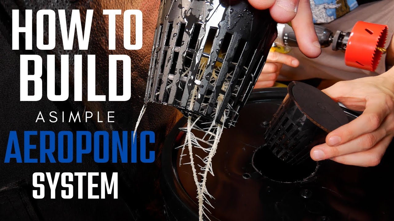 How to Build an Aeroponic System