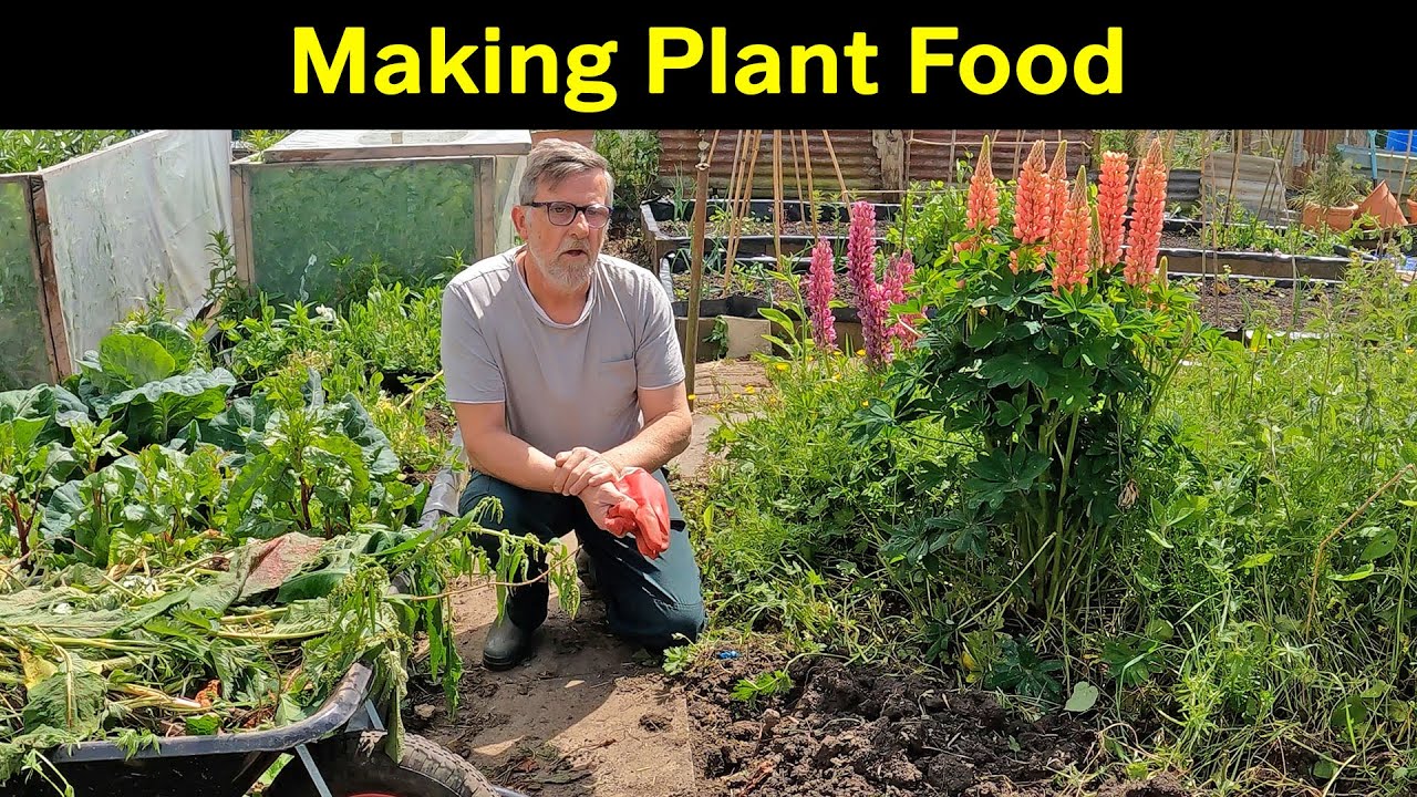 Free Plant Food | Make Your Own | Organic Plant Feed | Green Side Up