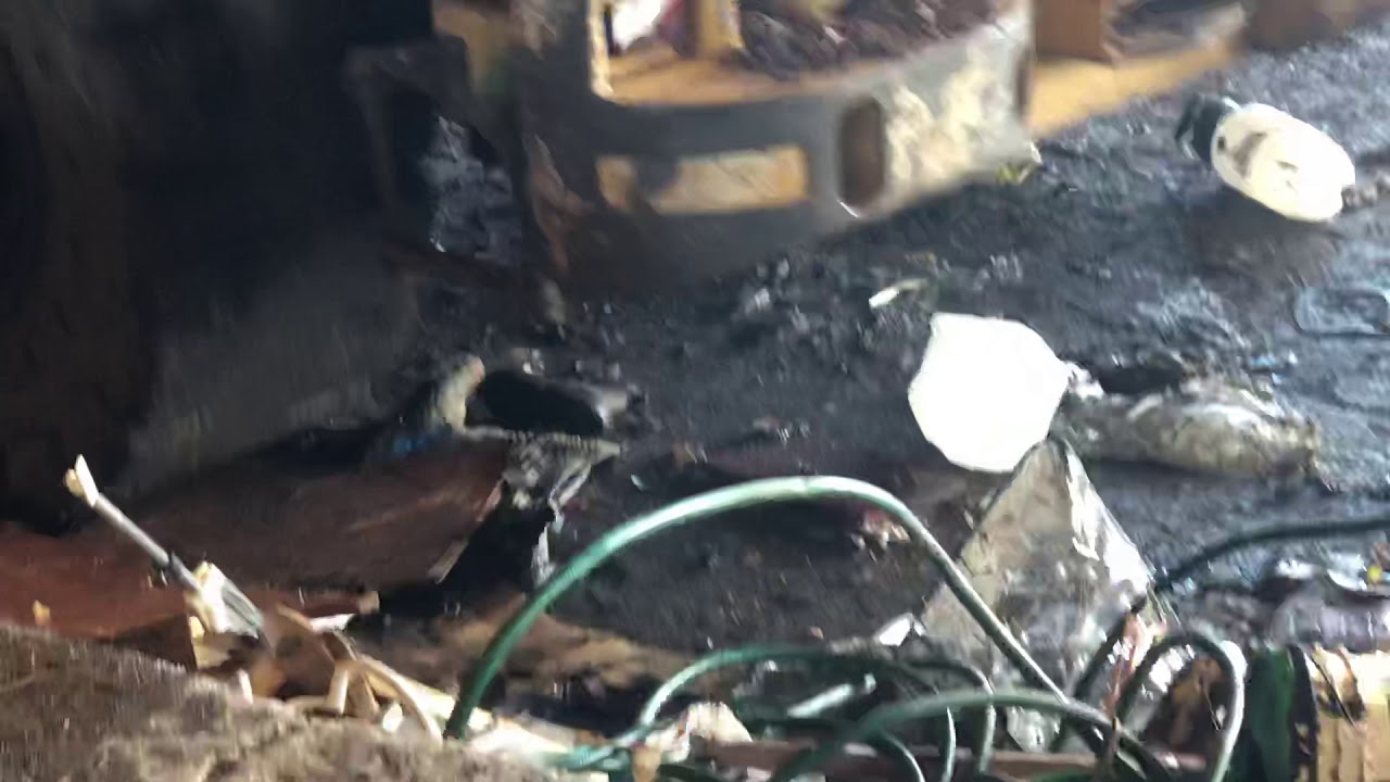Exercise Ball gets crushed, explodes under heavy machinery