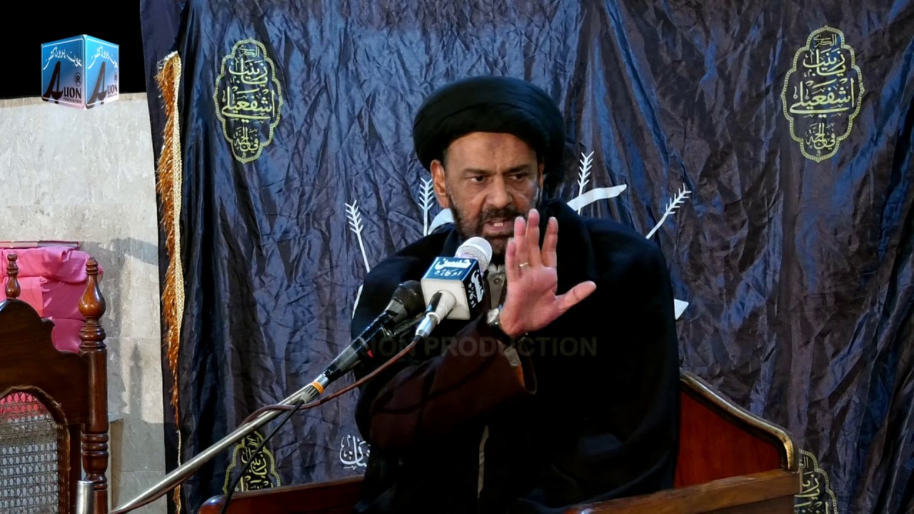 Allma Syed Zulfqar naqvi  basinsal shahadat bibi zainab  imam Ali Naqvi a.s