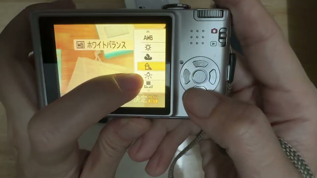 Panasonic FX35 p1