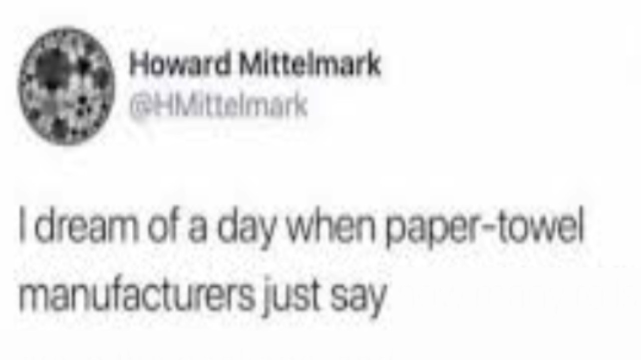 Hypothetical Paper Towels