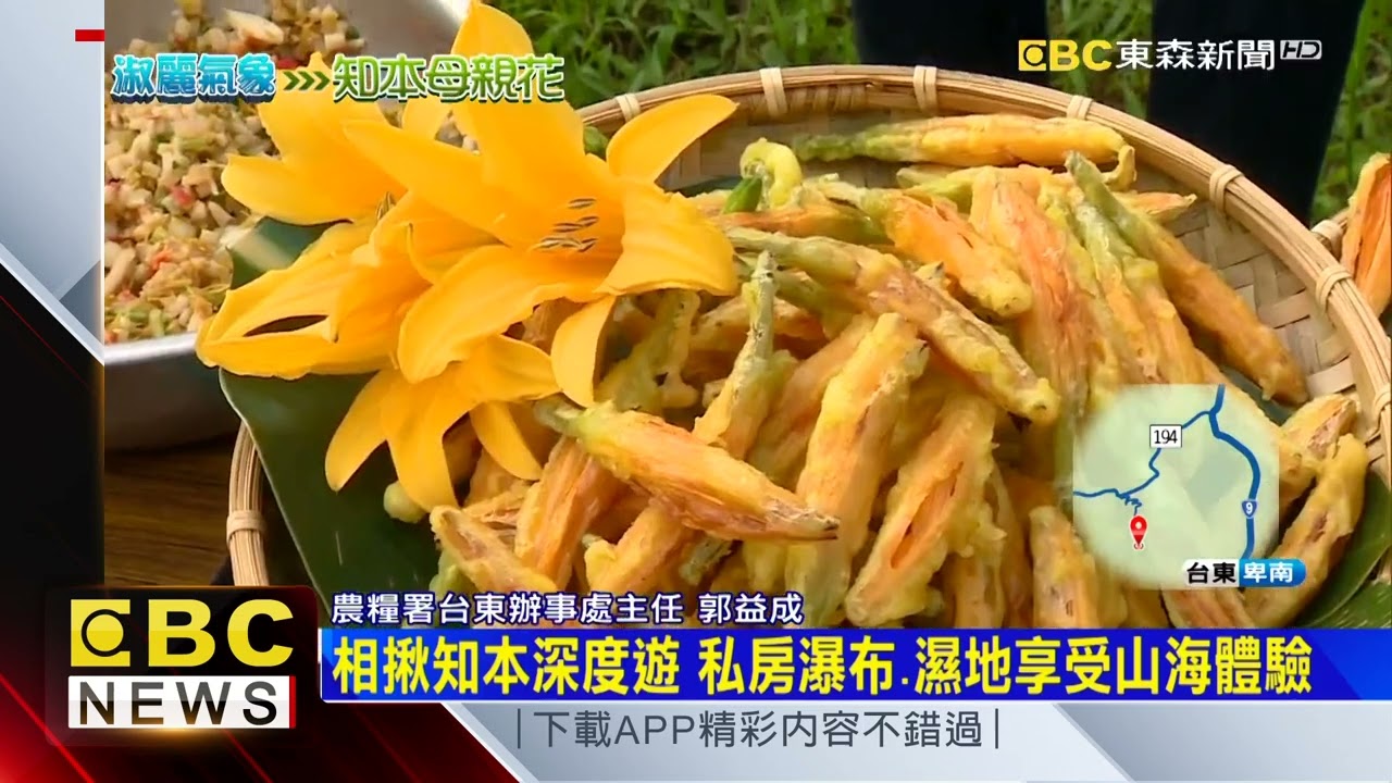 淑麗趴趴GO X  跟著淑麗賞「金」去 全台母親花特蒐報你知 @newsebc