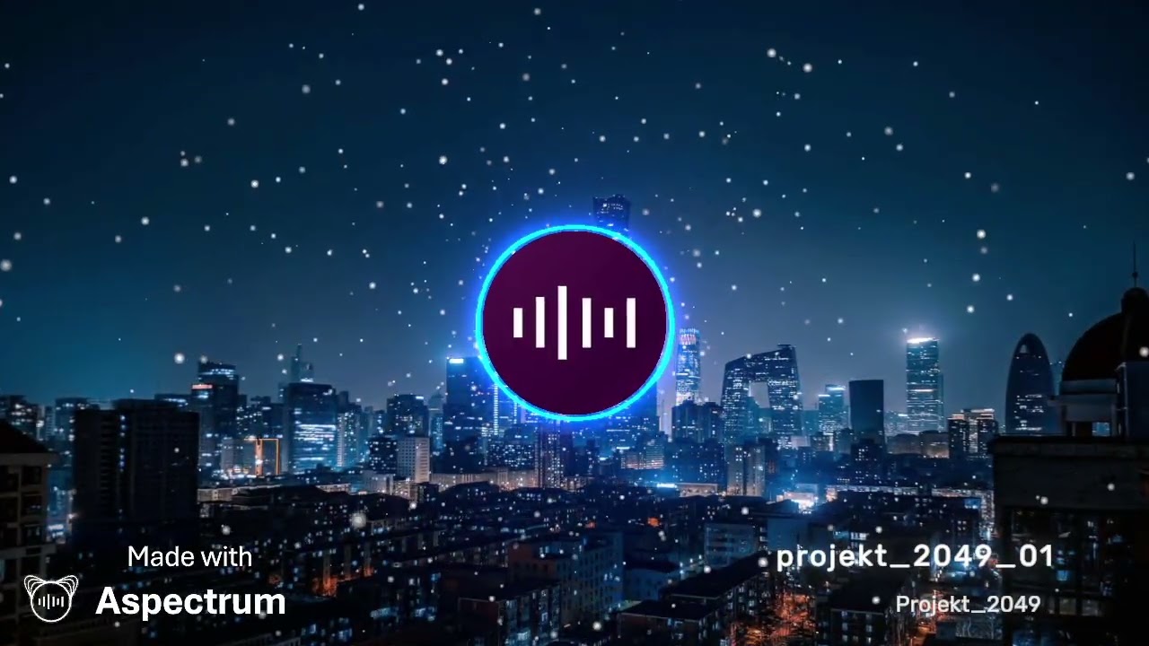 Projekt_2049_01