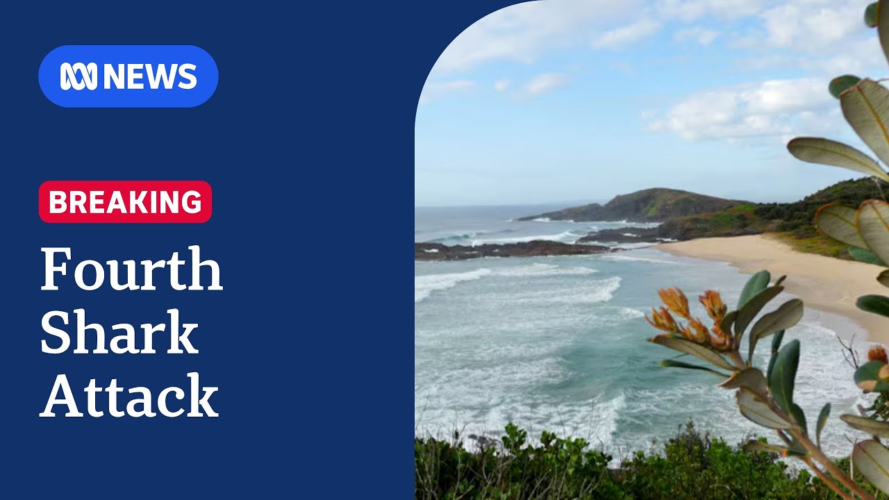 Surfer bitten by shark on NSW Mid North Coast in fourth attack in two days | ABC NEWS