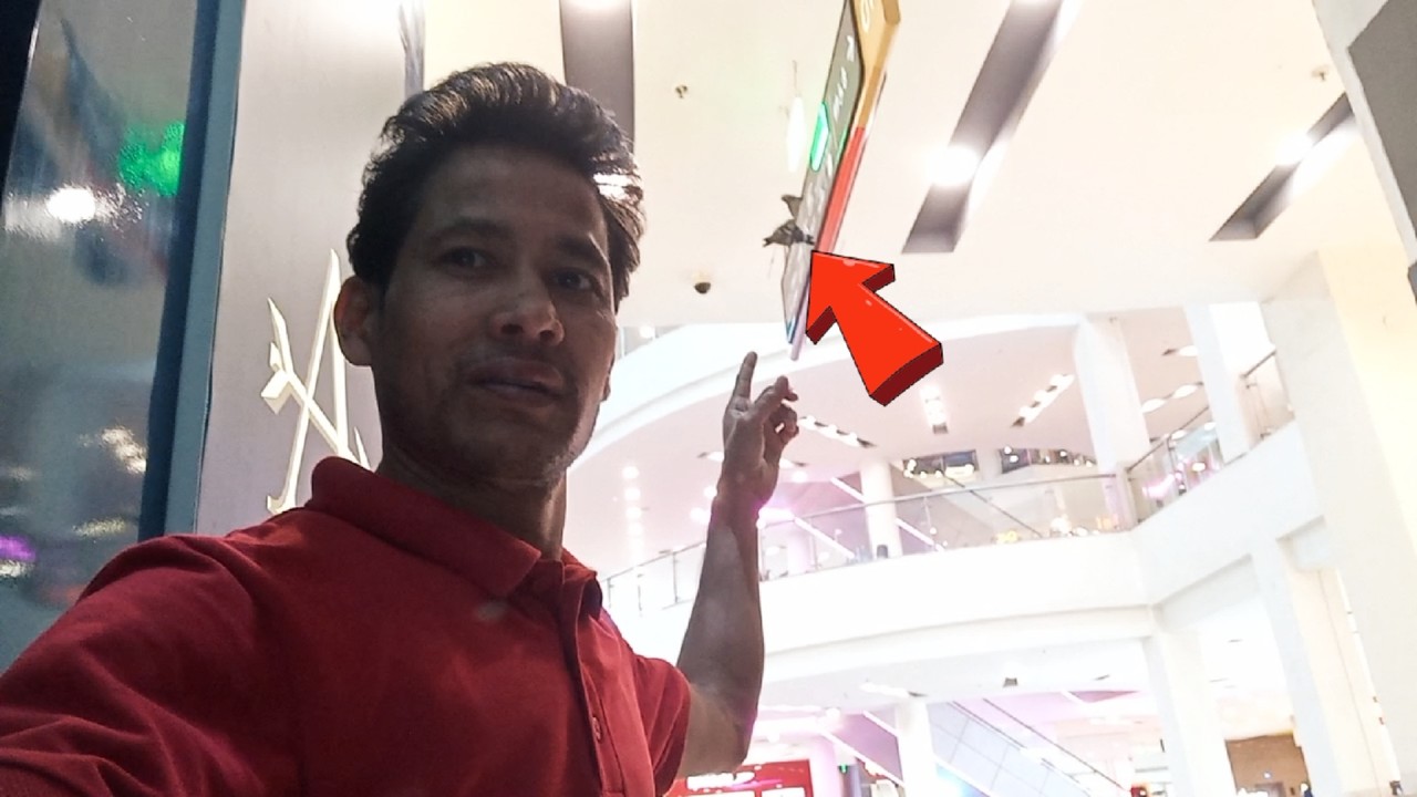 Mall Ka Andar Kabutar Aa Gaya 🙄