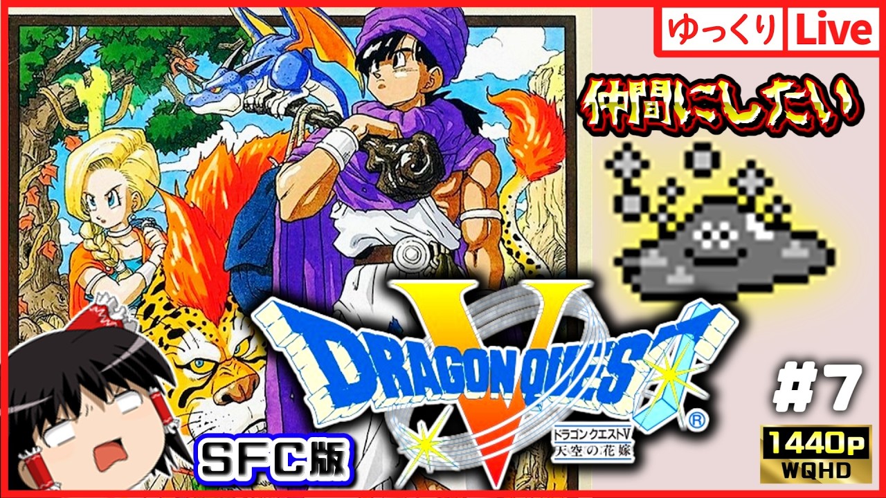 【ゆっくりボイスLive】SFC屈指の神RPG！ドラゴンクエスト5　天空の花嫁#7｜作業用BGM｜睡眠導入｜高画質｜大画面推奨