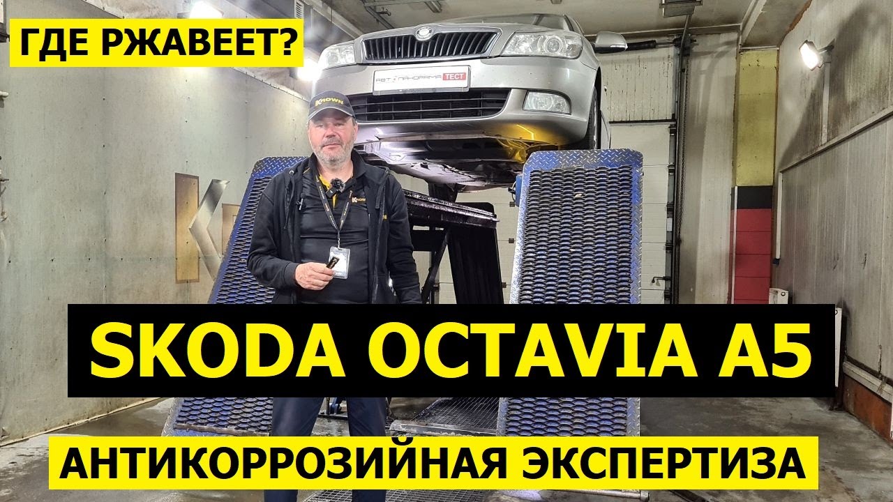 Где ржавеет? Skoda Octavia A5 антикоррозийная экспертиза Krown
