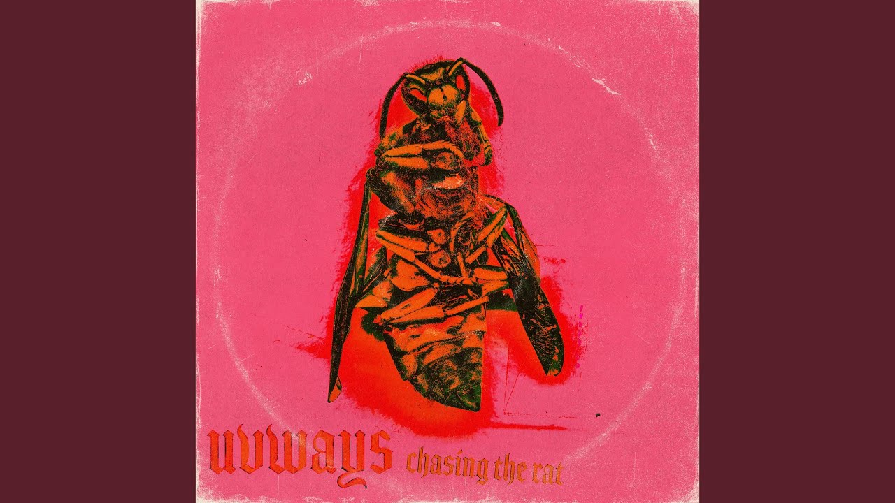 Chasing the Rat