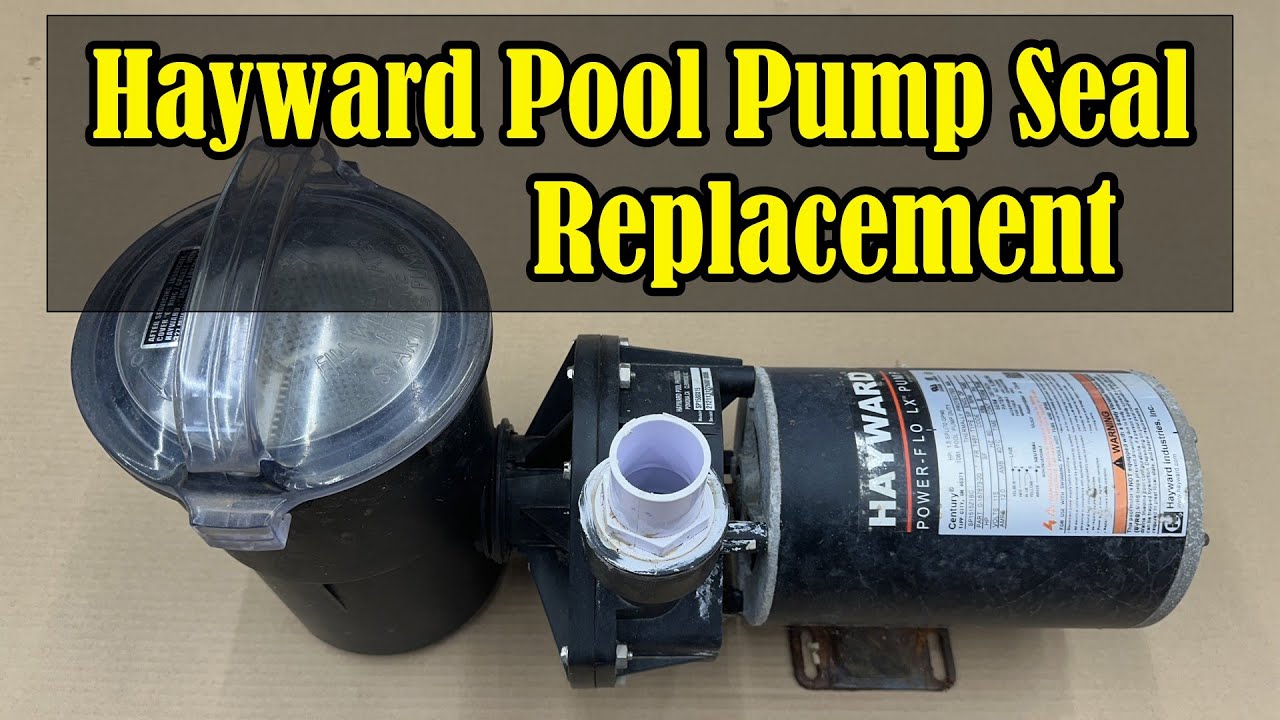 Hayward Pool Pump Seal Replacement