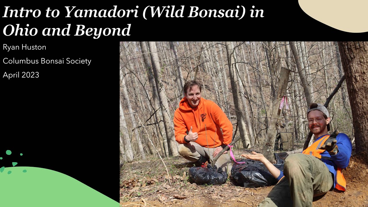 Introduction to Wild Bonsai (Yamadori) in Ohio and Beyond - Full Lecture