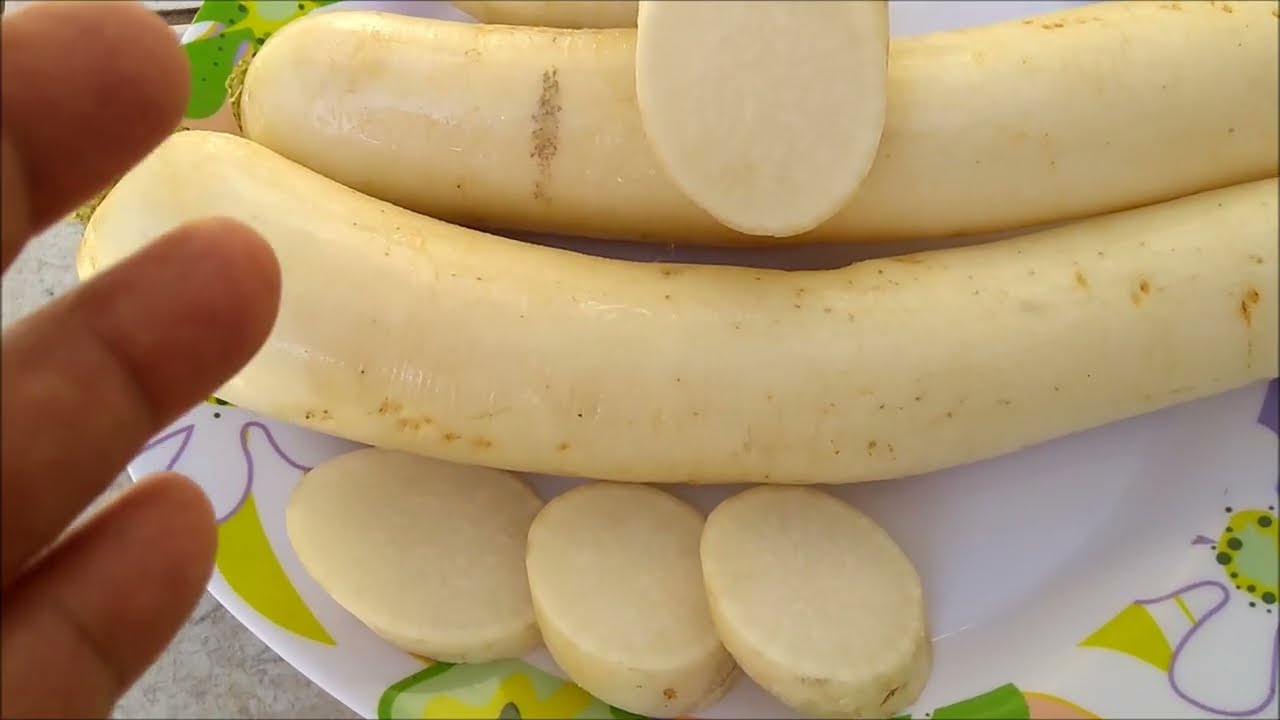 OS BENEFÍCIOS DO NABO PRA NOSSA SAÚSE
