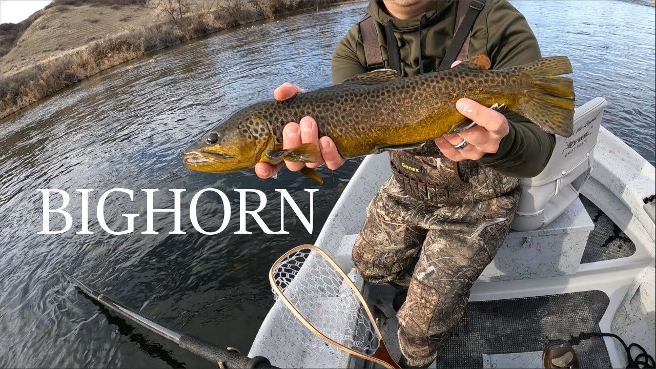 Fly Fishing the Bighorn River in February!
