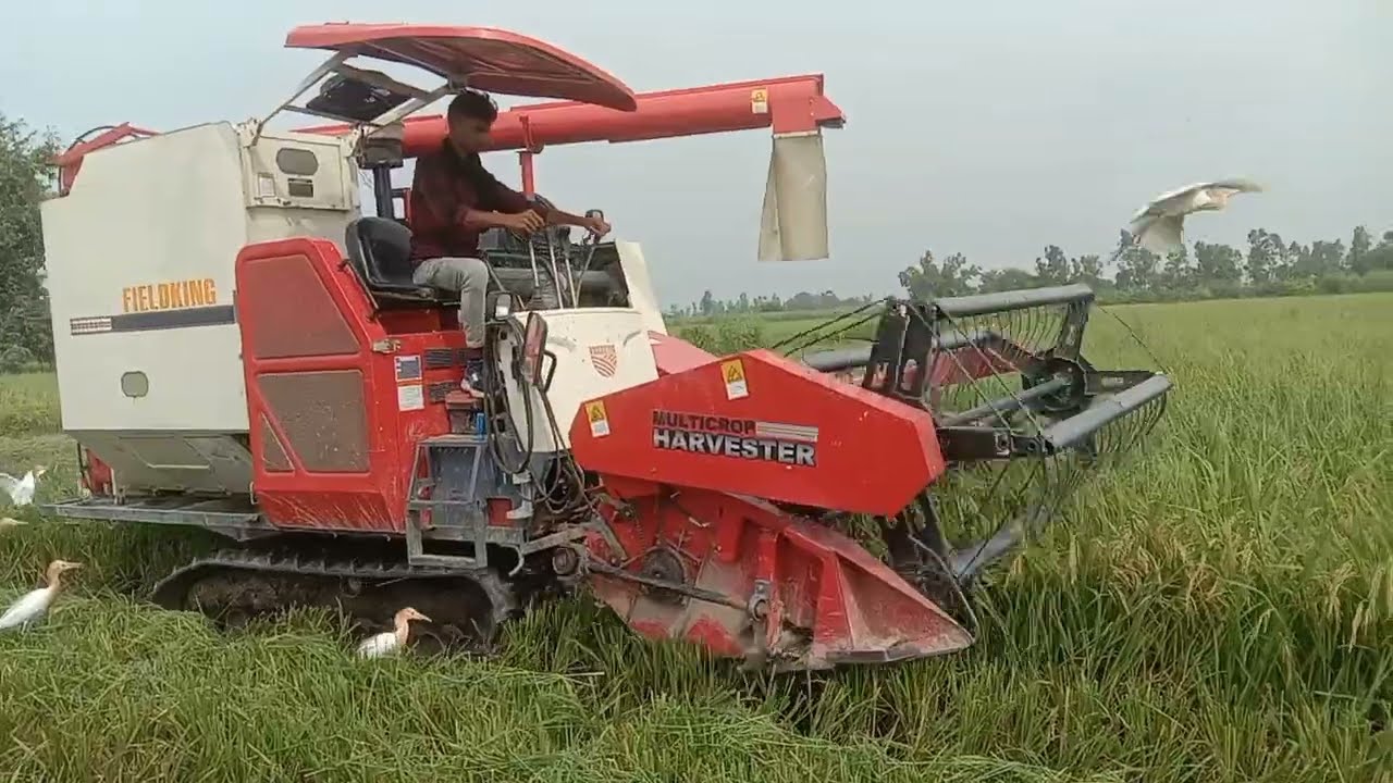 Multi Crop Harvester | Combine Harvester |Agriculture machine Fieldking Harvester 88hp fieldking2200