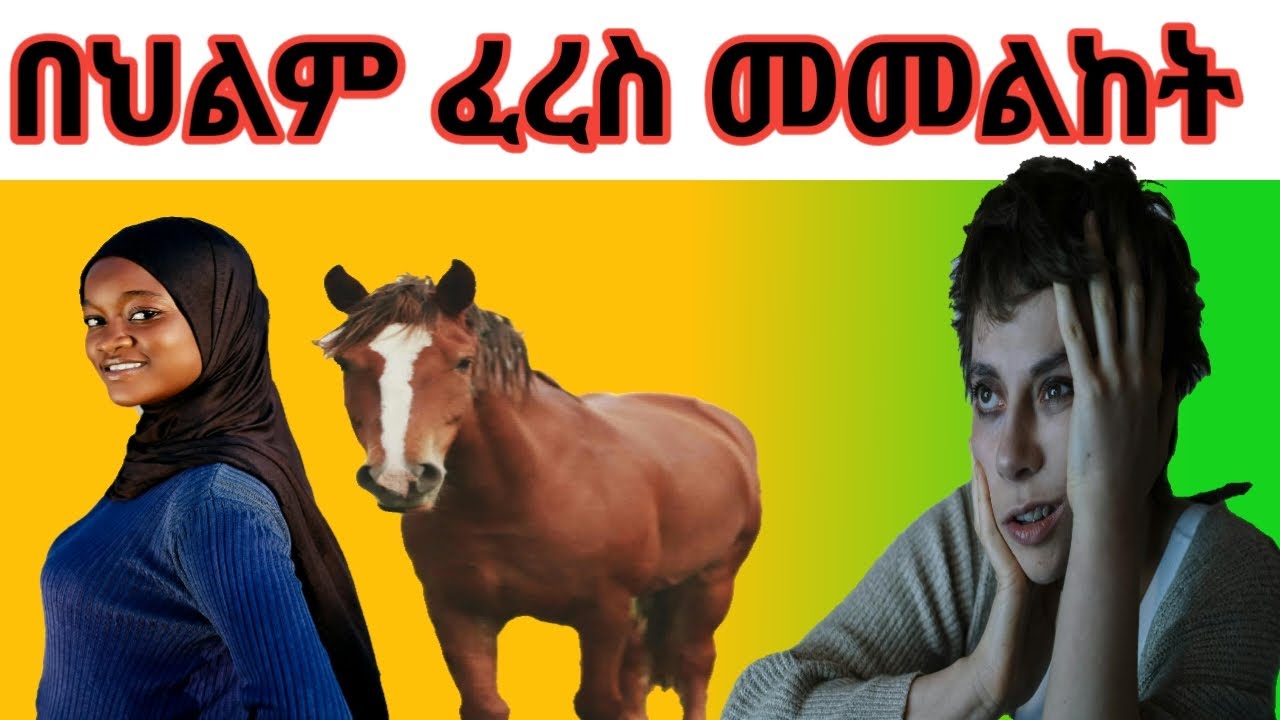 በህልም አለም ፈረስን ስንመለከት መጥፍም ጥሩም ፍቺ ይሰጡናል