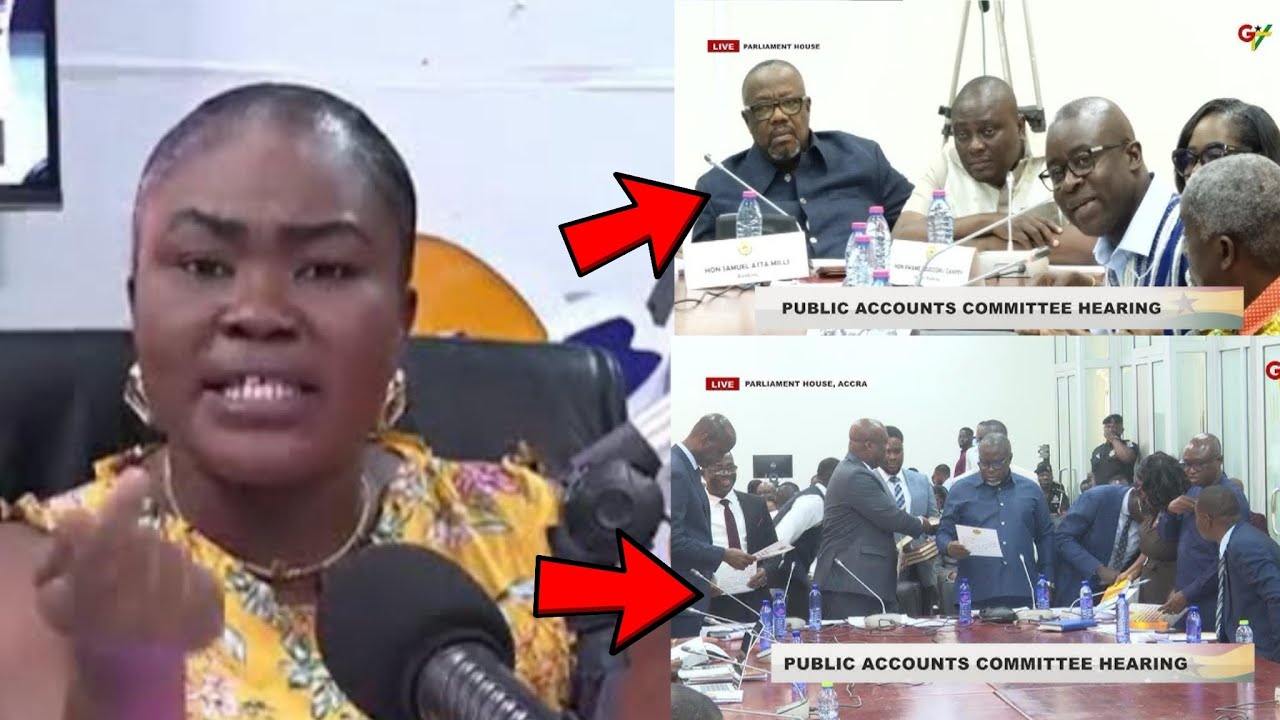 Ohemaa Sakyiwaa Reveals How Government Agencies Are Looting The Country Through Corruption 
