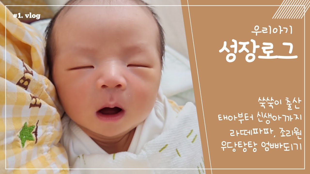 육아 vlog🌿ㅣ태아부터 신생아까지ㅣ엄빠되기ㅣ출산조리원ㅣ