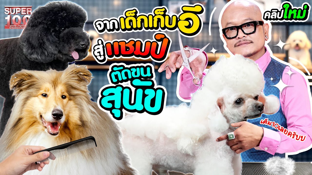 จากเด็กเก็บอึ สู่แชมป์ตัดขนสุนัข! เส้นทางสุดพลิกผันของ #ช่างหนุ่ม ผู้ไม่ยอมแพ้ต่อโชคชะตา l SUPER100