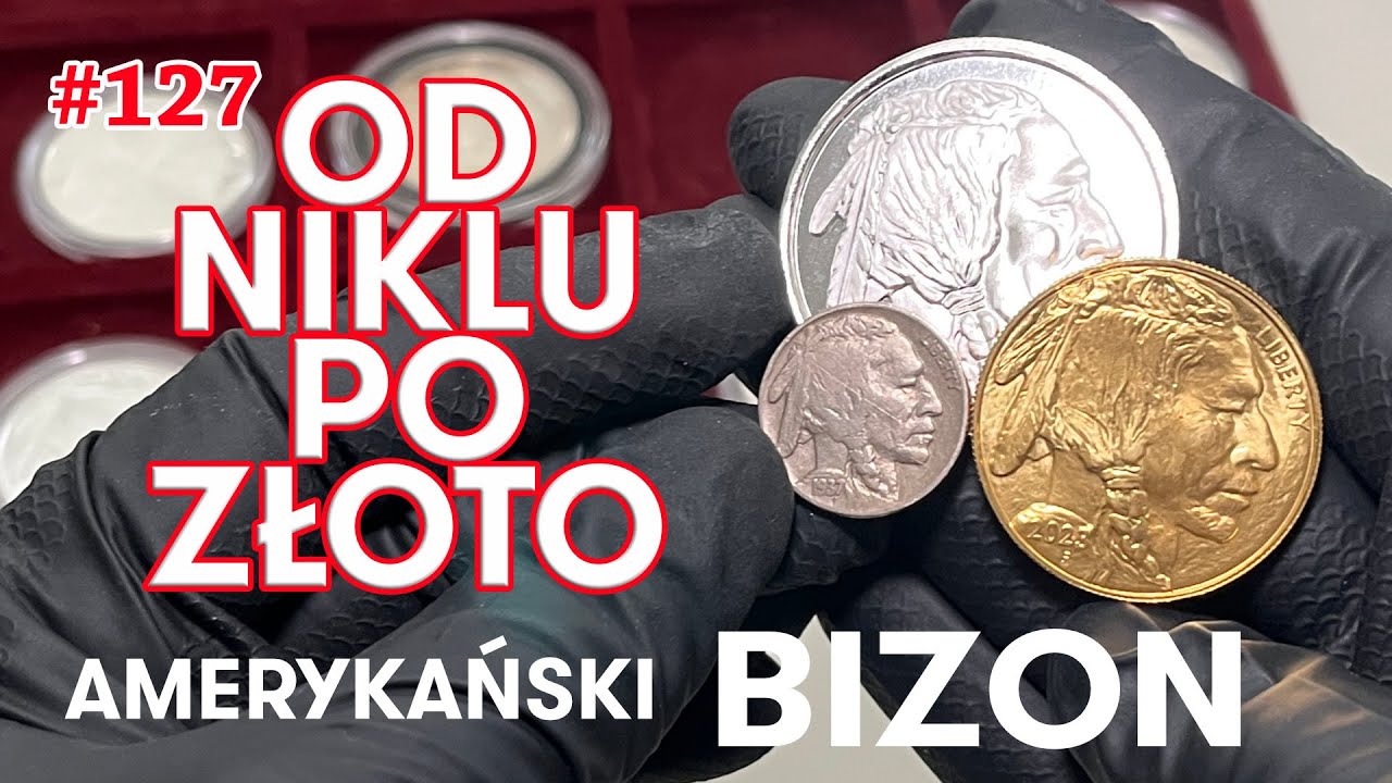 SS#127 OD MIEDZIONIKLU PO ZŁOTO - AMERYKAŃSKI BIZON
