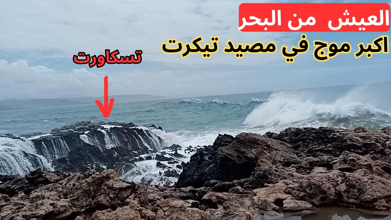 العيش من البحر واكبر موج شفتو في مصيد تيكرت شمال اكادير