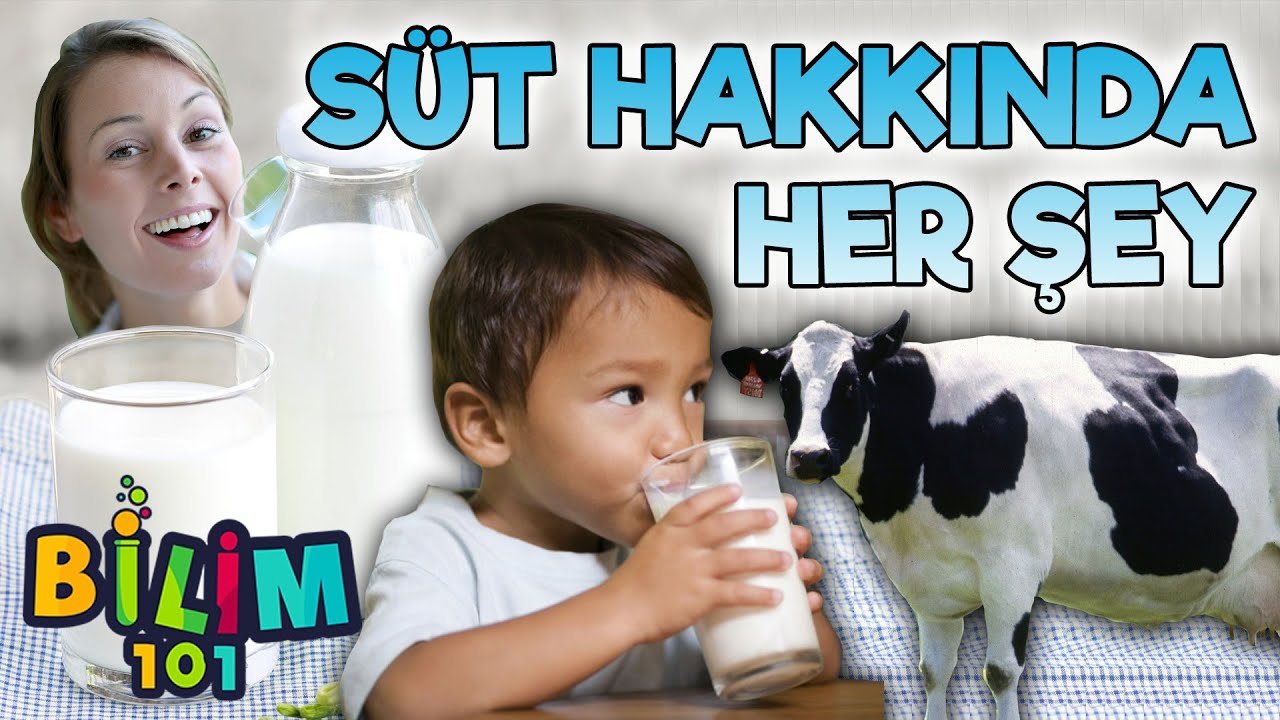 İnsanın Hayat Kaynağı: Süt! | Süt Gerçekten Sağlığa Zararlı Mıdır?