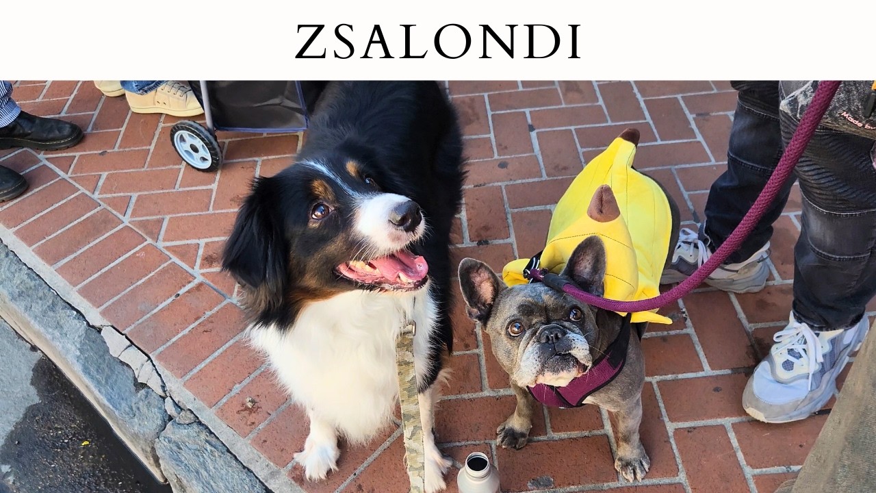 Krewe of Barkus 🐶🎭 | Watching the Parade, Treats Everywhere & Benji’s Birthday 🎂💛