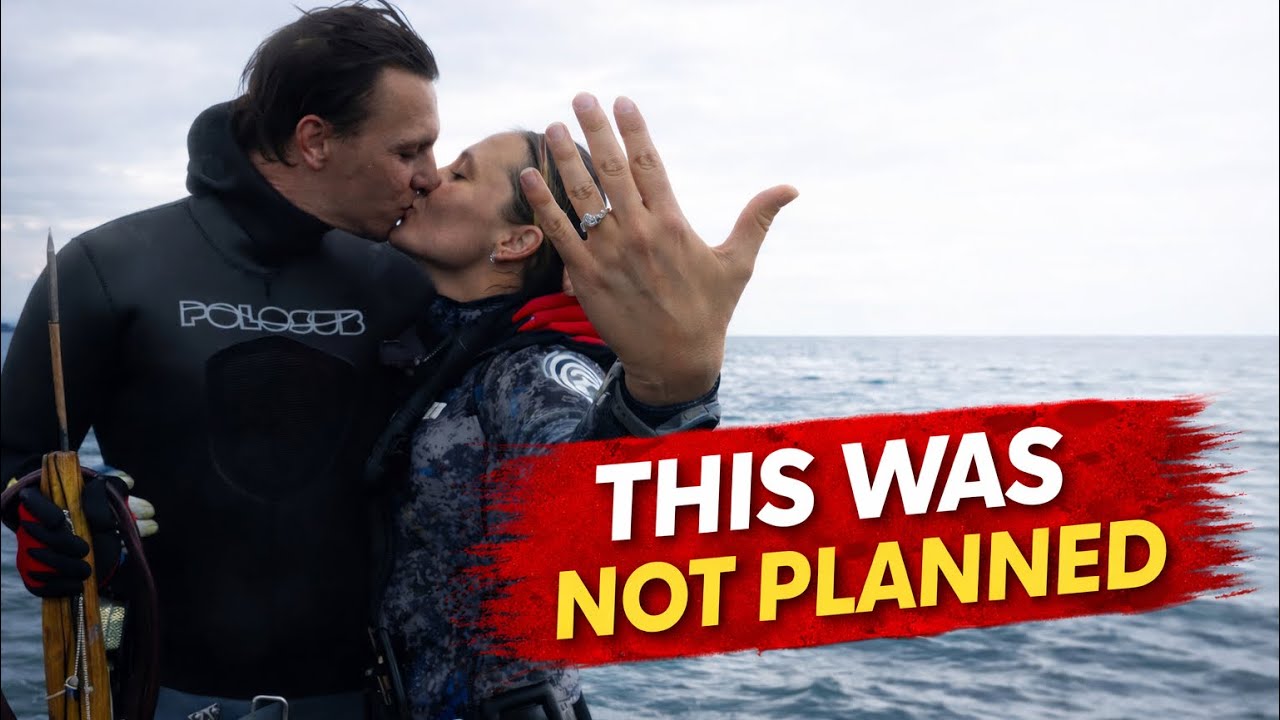This Dive Changed Our Lives. 
