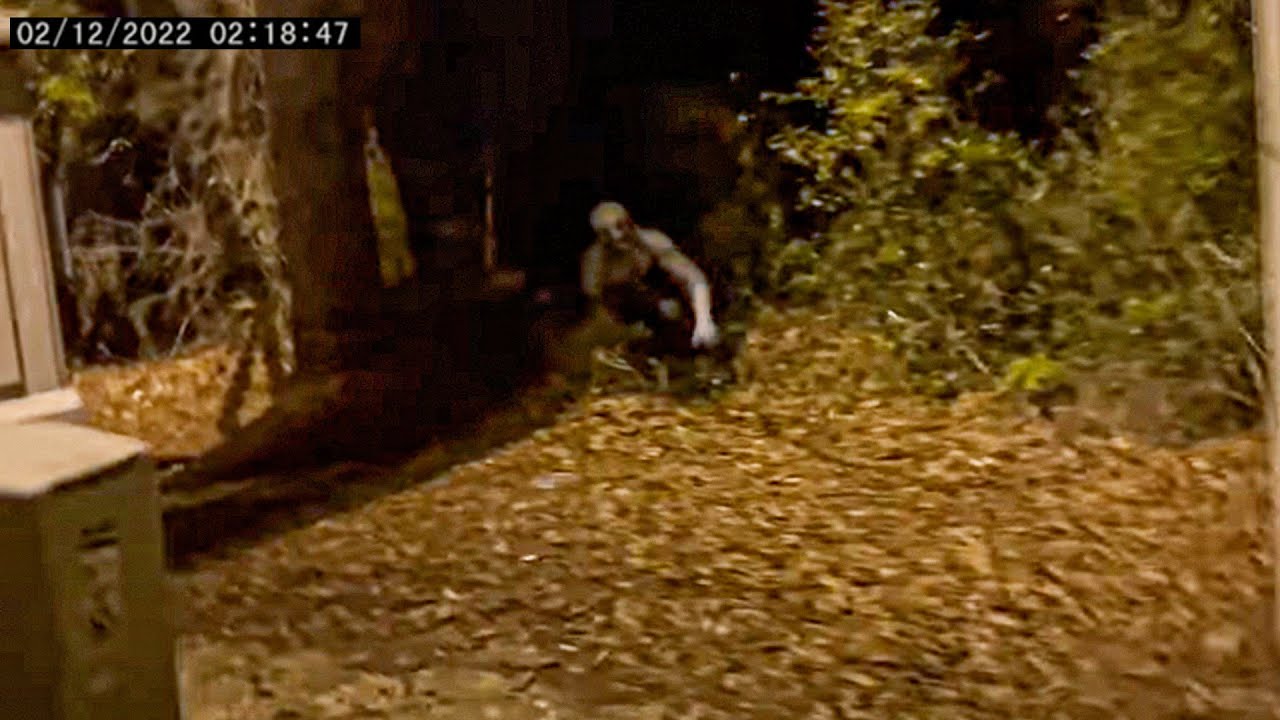 35 самых страшных видео с оборотнями, снятых на камеру