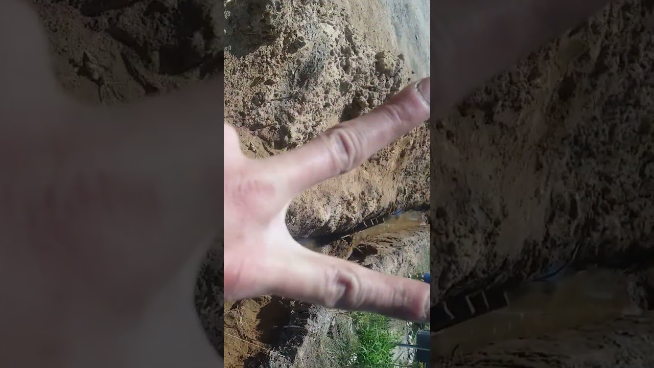 Reality Check Live - The Trench 00?