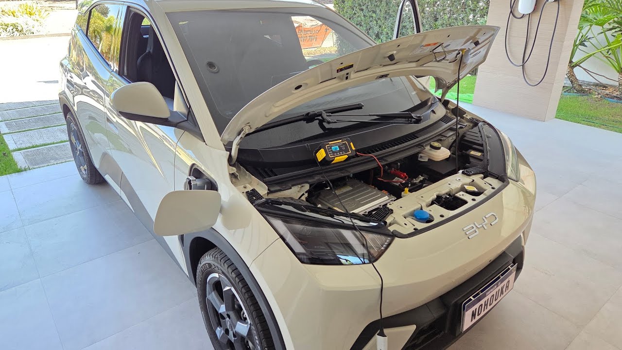 BATERIA 12V DESCARREGANDO BYD DOLPHIN MINI 🔋 DICA DE EMERGÊNCIA PRA SAIR DO PREGO!