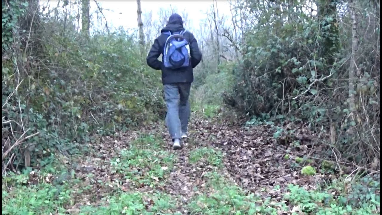 WINTER WALK 10  (Marsh, forest, wetland) - NATURE & RALAXATION