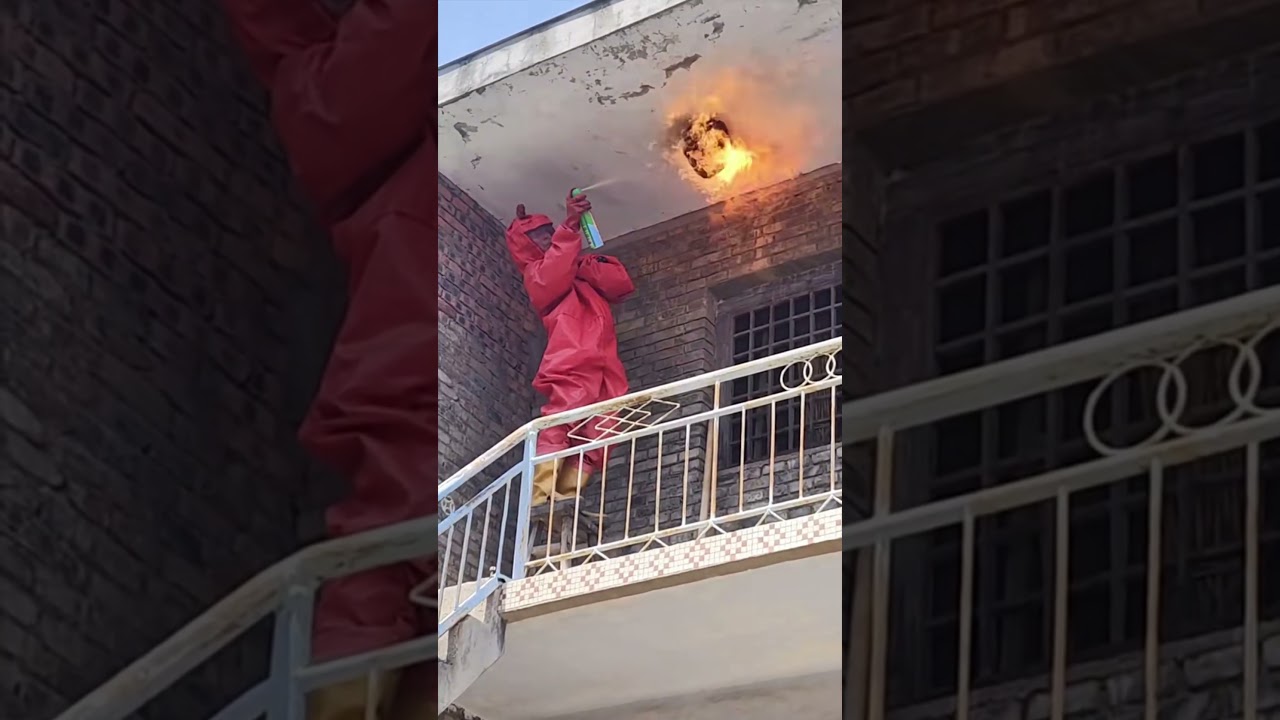 Burning down a giant hornet's nest  With A Flamethrower 🔥😱 #honeybeesting #bee #nature #beefeater