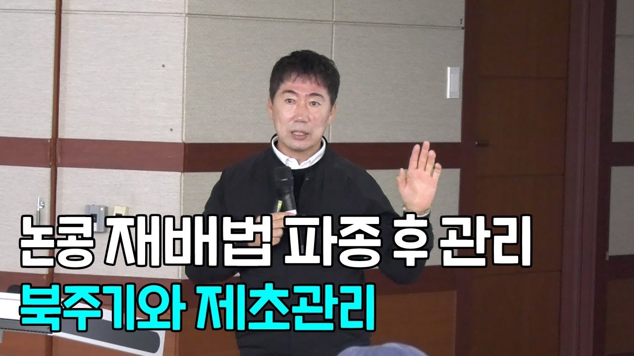 논콩 재배법 파종 후 관리 북주기와 제초관리