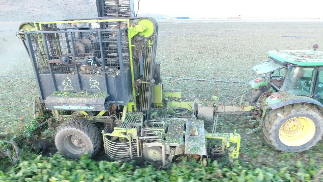 Baris Makina Çift Sira Pancar Hasat Makinasi - B2002 Double Row Sugar Beet Harvester