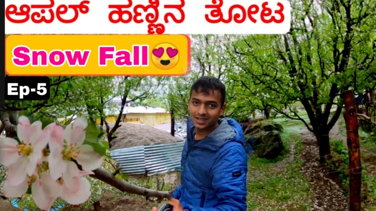 Cute little village | Himachal Village |Ep.5| Dr Bro | Kannada Vlog