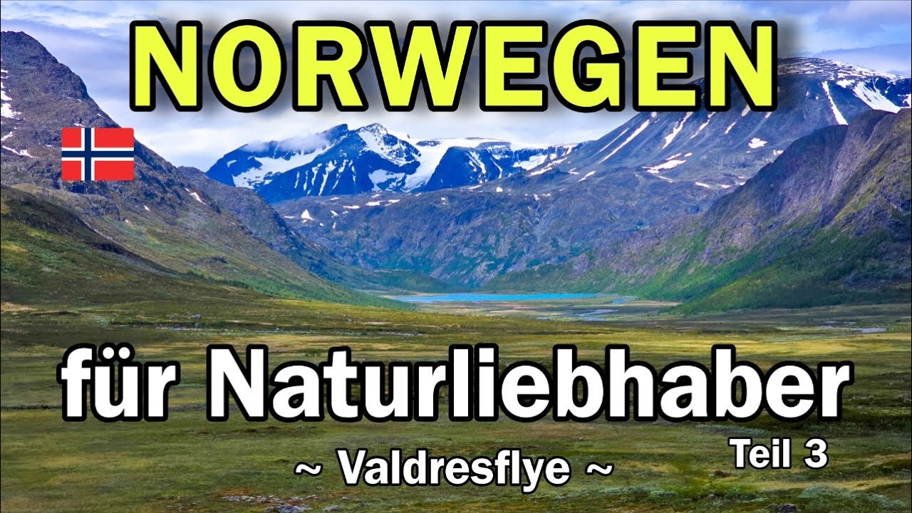 Norwegen für Naturliebhaber - Landschaftsroute Valdresflye mit dem Wohnmobil Kastenwagen Jotunheimen