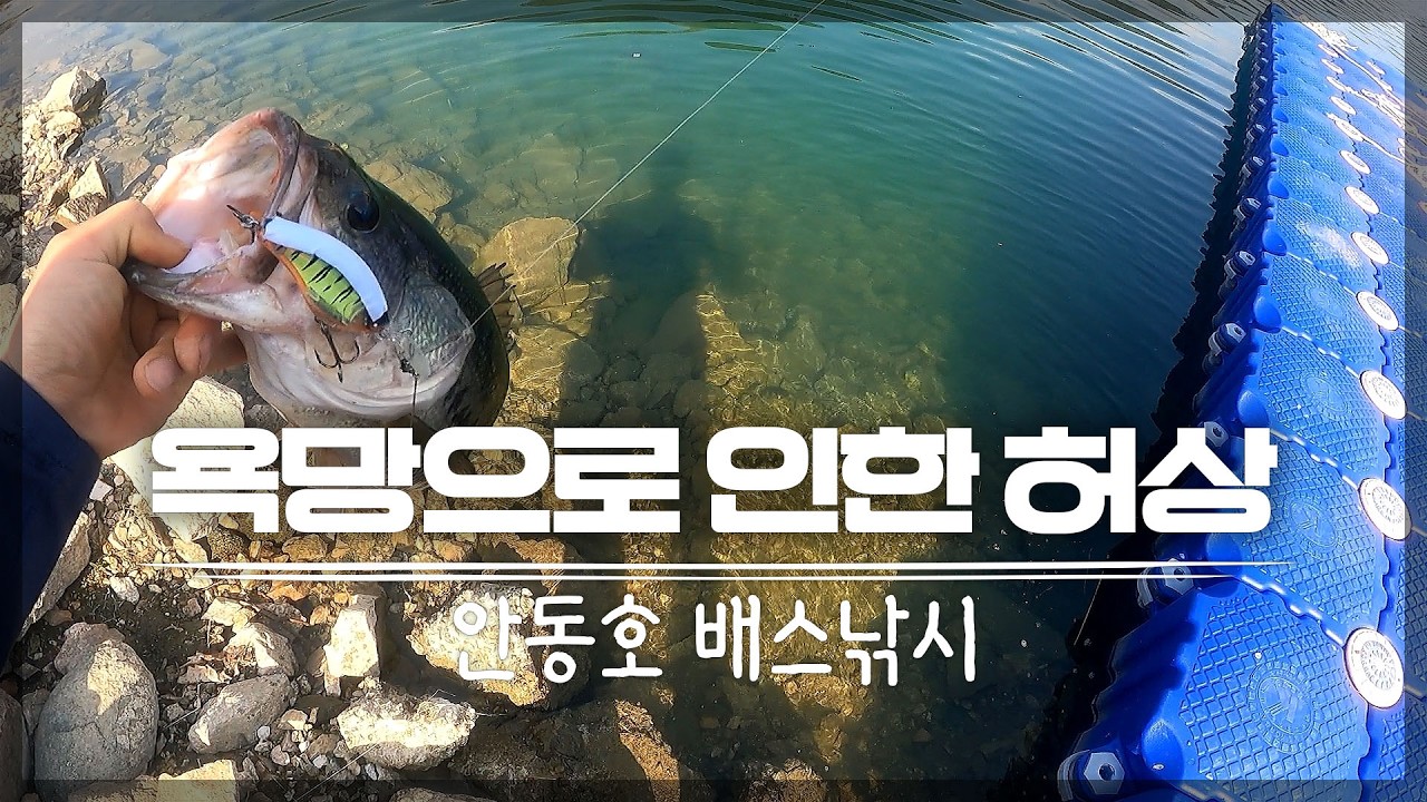 봄 안동호 배스 낚시 🧠 Bass Fishing Pesca バス釣り
