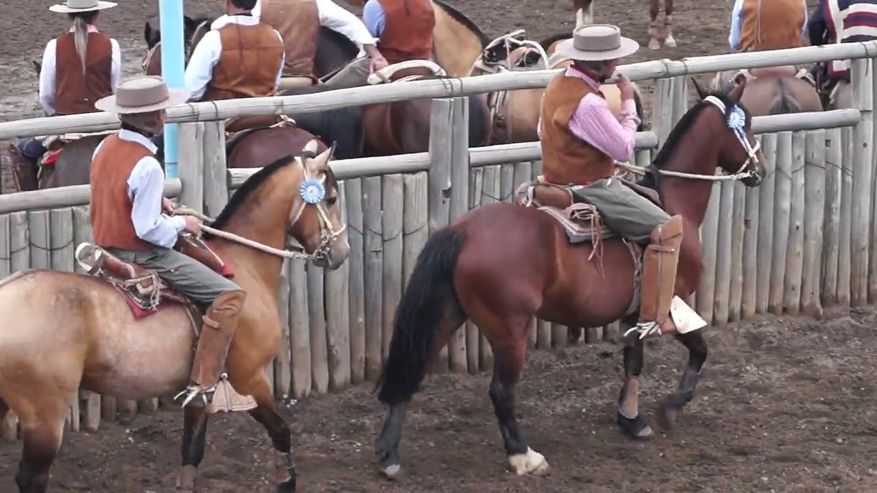 CHAMPIONS RODEO CUYANO - CLUB EL LAGO 19 Y 20 DE NOVIEMBRE. TUNUYÁN-MENDOZA