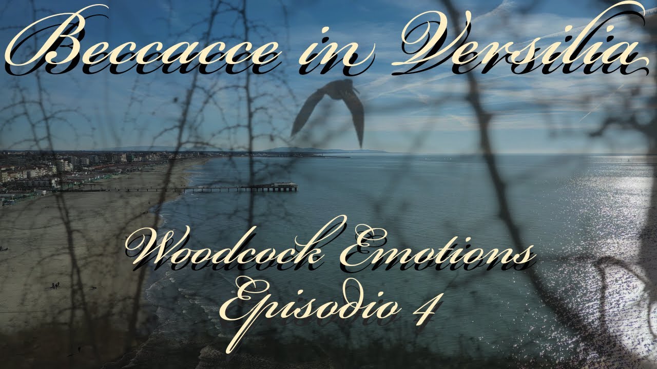 WOODCOCK EMOTIONS -EP4 