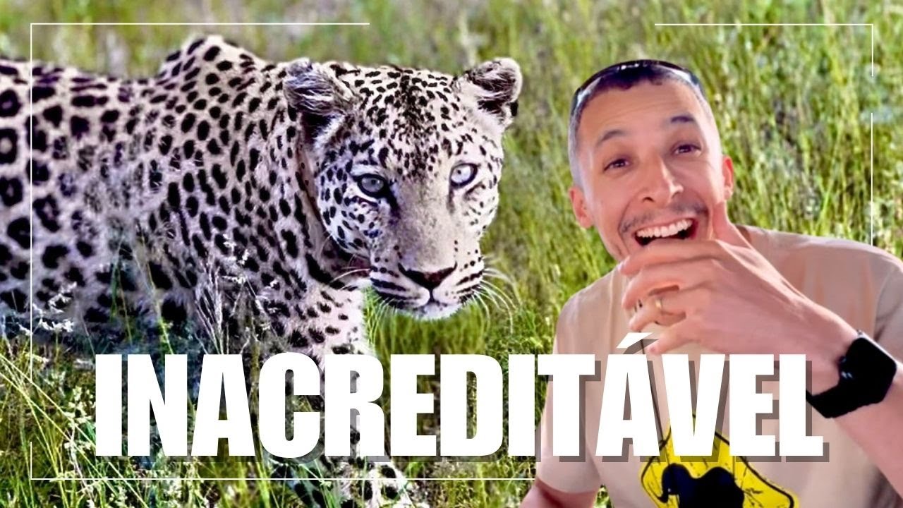 EP8. Namíbia - Encontro com Leopardos: o Grande Final da Nossa Aventura pela África.