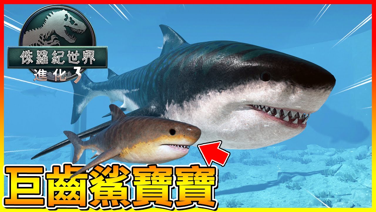 巨齒鯊寶寶登場！跟在巨齒鯊媽媽後面 學習怎麼跳出水面吃大白鯊😂 【侏儸紀世界進化 3】#11