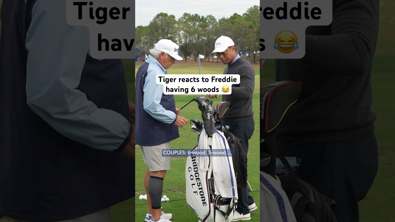 Freddie&rsquo;s bag SHOCKS Tiger 😂