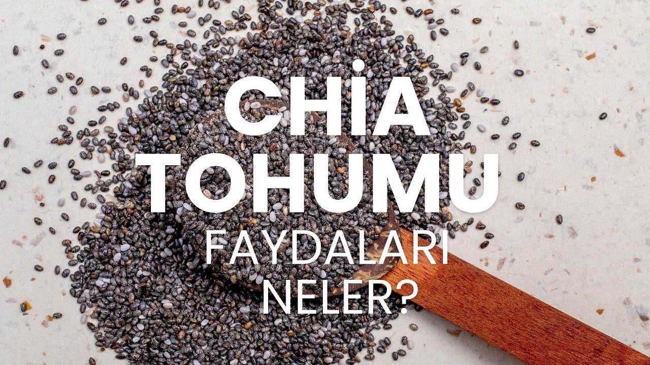 Chia Tohumu Faydaları Neler? #modernaktar #chiatohumu